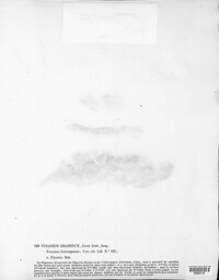 Image Associated With the Occurence